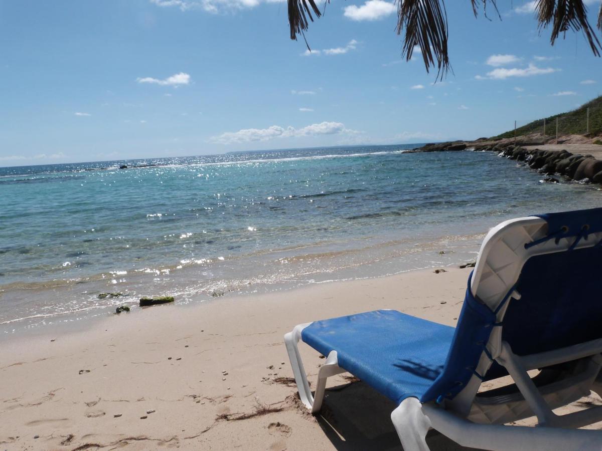 Studio Vue Mer Piscine Plage Kaz Punch Manganao Chez Julie Saint-Francois  Εξωτερικό φωτογραφία