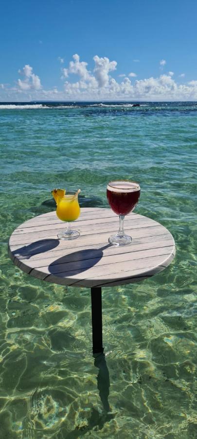 Studio Vue Mer Piscine Plage Kaz Punch Manganao Chez Julie Saint-Francois  Εξωτερικό φωτογραφία